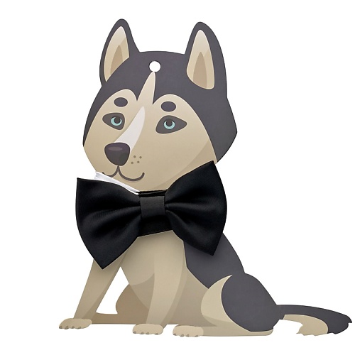 FRIEND OF MINE Аксессуар для собак BLACK BOW #FOM_seriousmister